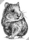 black and white engrave isolated hamster vector illustration