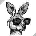 Black and white engrave isolated kangaroo vector illustration