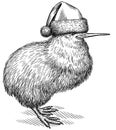 black and white engrave isolated Kiwi bird illustration