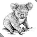 Black and white engrave isolated Koala vector illustration