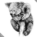 Black and white engrave isolated Koala vector illustration