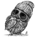 Black and white engrave isolated owl illustration Royalty Free Stock Photo