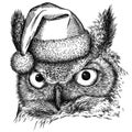 Black and white engrave isolated owl illustration Royalty Free Stock Photo