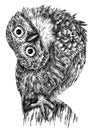 Black and white engrave isolated owl illustration Royalty Free Stock Photo