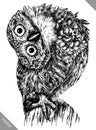 Black and white engrave isolated owl vector illustration Royalty Free Stock Photo