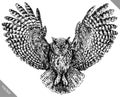 Black and white engrave isolated owl vector illustration Royalty Free Stock Photo