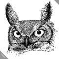 Black and white engrave isolated owl vector illustration Royalty Free Stock Photo