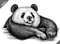 Black and white engrave isolated panda vector illustration