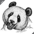 Black and white engrave isolated panda vector illustration