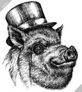 Black and white engrave isolated pig vector illustration Royalty Free Stock Photo