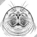 black and white engrave isolated seal vector illustration