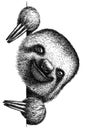 Black and white engrave isolated sloth illustration