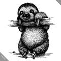 Black and white engrave isolated sloth vector illustration