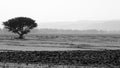 Black and white ethiopian landscape