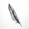 black and white feather illustration
