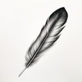 black and white feather illustration