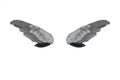 Black and white feathers wings Royalty Free Stock Photo