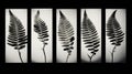 Black And White Fern Photography: Bold And Graceful Multi-panel Compositions