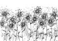 Black and white field of flowers illustration, handpainted floral image