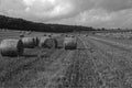 Black and white field with hay bails Royalty Free Stock Photo