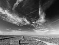 Black and white fine art picture of cut and partially baled alfalfa field under cirrus clouds in the Central Valley of California Royalty Free Stock Photo