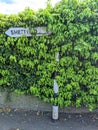 Black and white fingerpost covered in ivy Royalty Free Stock Photo