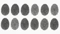 Black, white fingerprint pattern collection. Unique design element for security identity. Forensic science, criminal