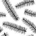 Black and white Fir branch seamless pattern. Winter design for holiday greeting cards and invitations of the Merry Christmas and Royalty Free Stock Photo