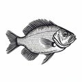 Detailed Black And White Fish Illustration With Cross-hatching