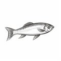 Black And White Fish Vector Drawing In The Style Of Ilya Mashkov