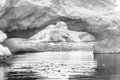 Black White Floating Blue Iceberg Arch Reflection Paradise Bay Skintorp Cove Antarctica Royalty Free Stock Photo