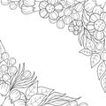 Black and white floral contour background. Diagonal borders of flowers, leaves and twigs, white background