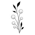 Black and white floral drawing of dandelion icon