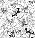 Black and white floral exotic seamless pattern. Exotic tropical flowers orchids and butterflies. Vector illustration. Flower