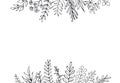 Black and white floral hand drawn farmhouse style outlined twigs branches header border background
