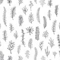 Black and white floral hand drawn outlined twigs branches seamless pattern swatch