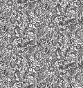 Black and white floral pattern. Abstract flowers background Royalty Free Stock Photo