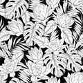 Black and white floral pattern. Lily flowers