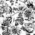 Black and White Floral Seamless Background Royalty Free Stock Photo
