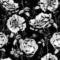 Black and White Floral Seamless Background Royalty Free Stock Photo