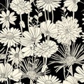 Black and white floral seamless pattern Royalty Free Stock Photo
