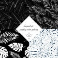 Black and white floral tropic design seamless patterns set. Wild flowers and leaves background