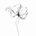 Abstract Flower: Ethereal Minimalism In Black And White