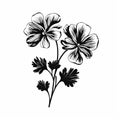 Beautiful Geranium Silhouette Drawing In Yiannis Moralis Style