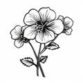 Monochrome Black Geranium: Simplistic Vector Art Of Flowers