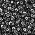 Black and White Flower Pattern Royalty Free Stock Photo