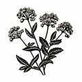Black And White Flowering Herbs Illustration: Minimalist Linocut Print