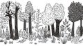 Whimsical Black and White Forest Nature Sketch Trees and Plants Royalty Free Stock Photo