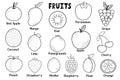 Black and white fruits collection. Healthy food isolated elements in cartoon style