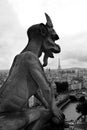 Black and White Gargoyle